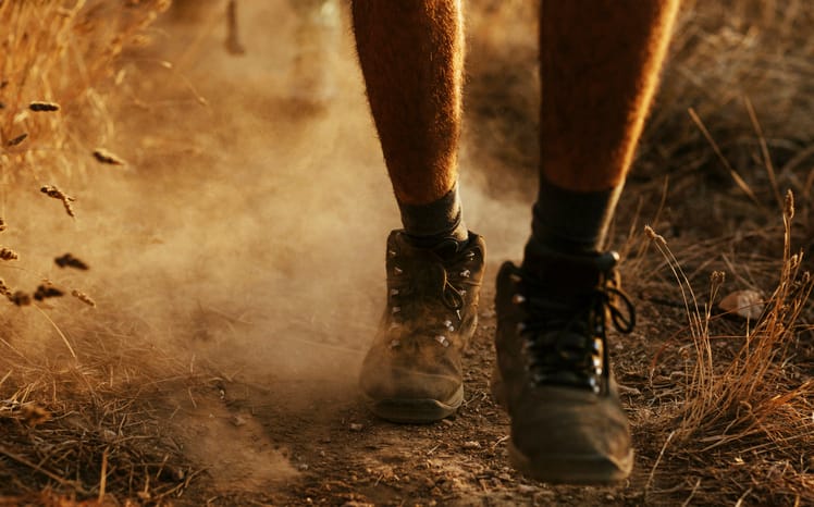 cropped shot of hiking boots