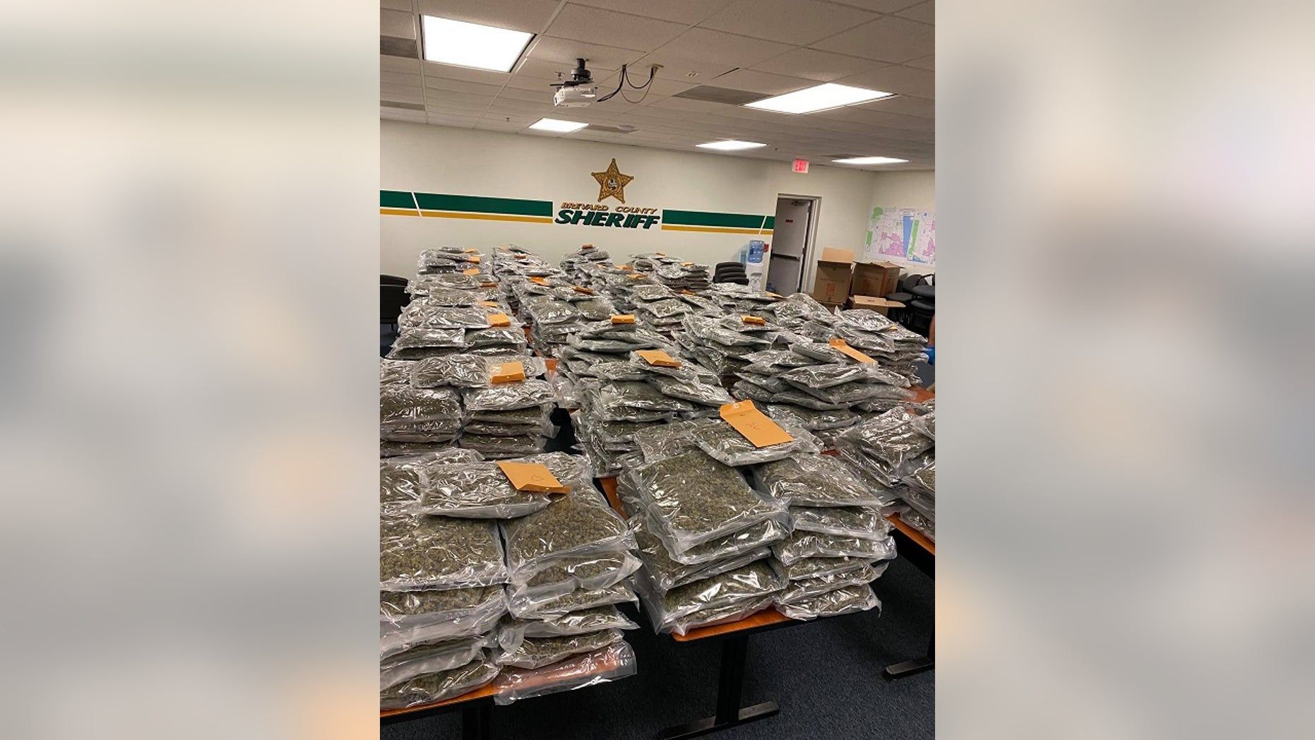 Sheriff Wants To Return $2 Million Worth Of Marijuana To Owner: ‘It’s The Least We Can Do’