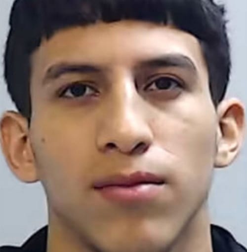 More Than 365,000 People Sign Petition To Free Brothers For Beating Stepfather To Death For Raping 9-Year-Old Sister