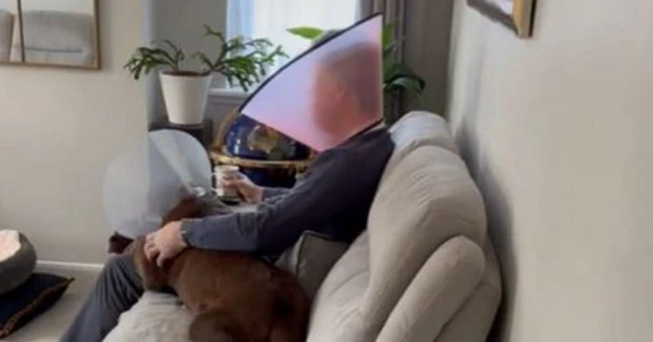 dad in cone of shame