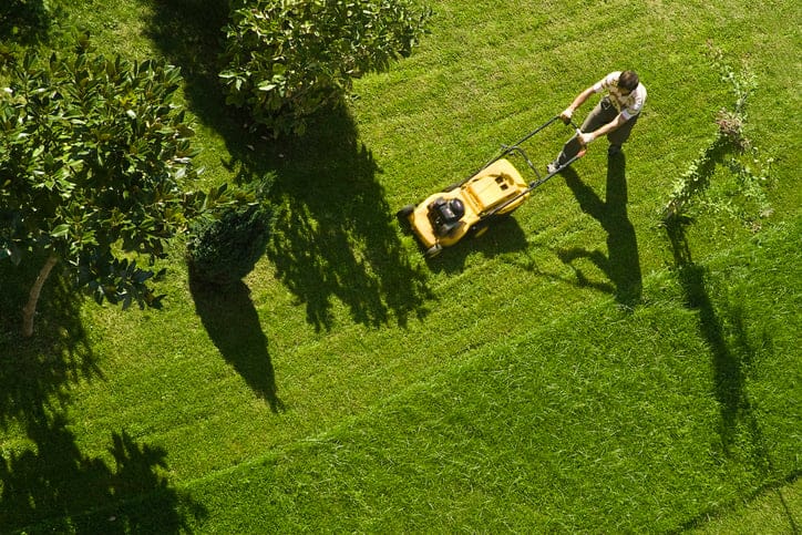 Man using the lawn mower.