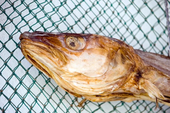 I Suffer From A Rare Condition That Makes Me Smell Like Fish