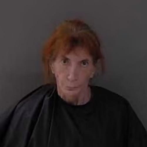 Michele Rene Hoskins