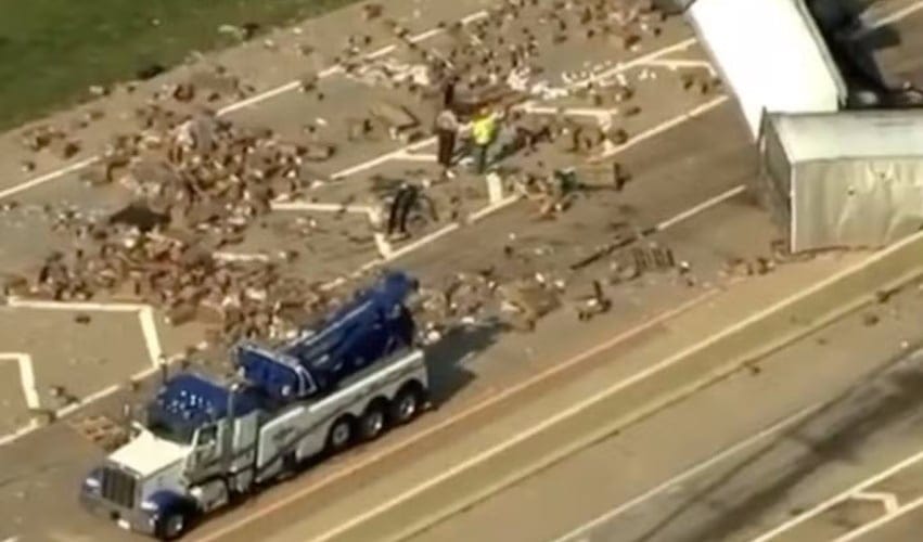 truck on highway