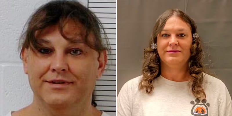amber mclaughlin mugshot composite