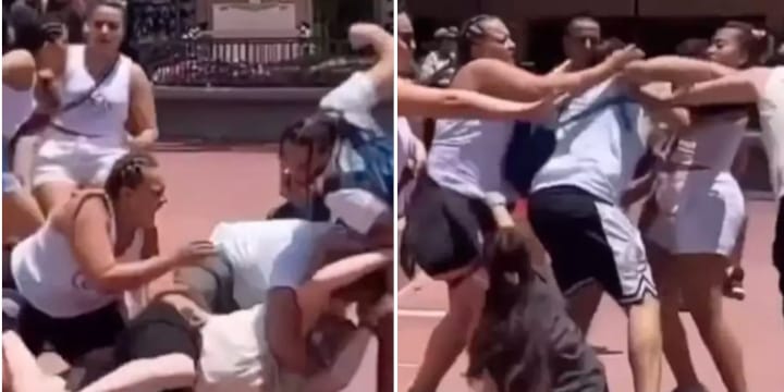disney world family brawl
