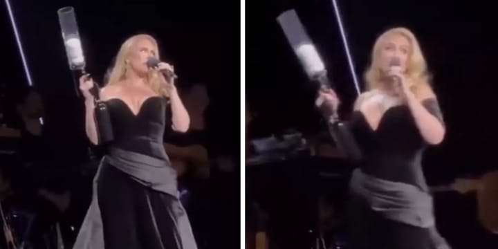 adele with t-shirt gun on stage vegas