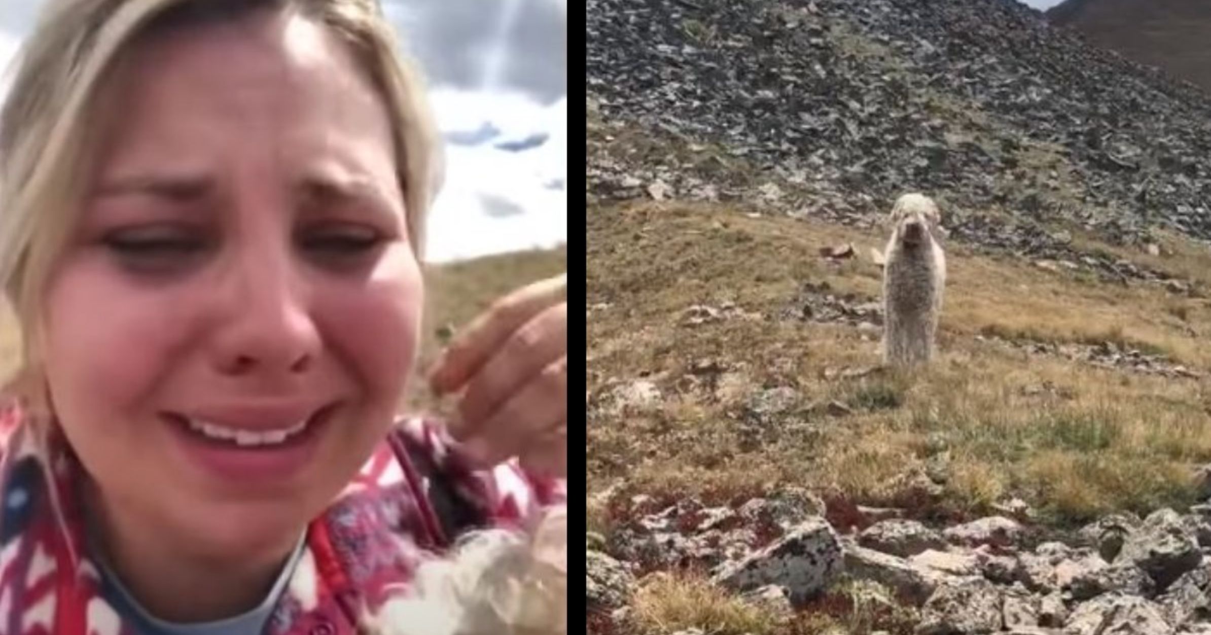 woman reunites with missing dog