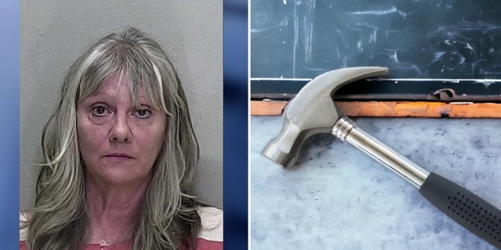 lorrie wilds mugshot with hammer