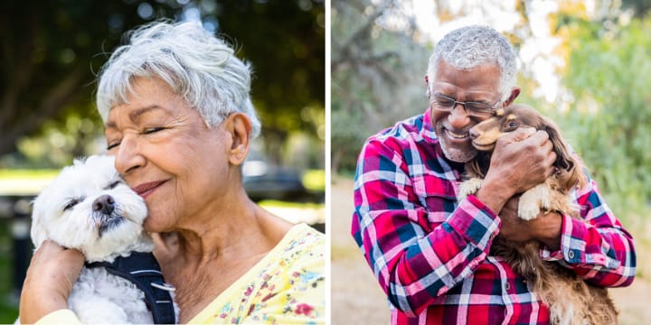 composite of older woman, man with dog