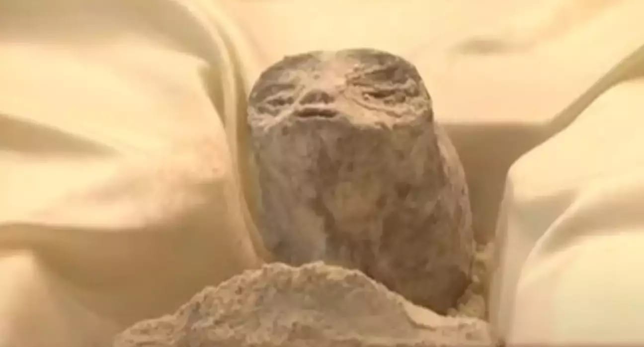 alien corpse on display in mexico