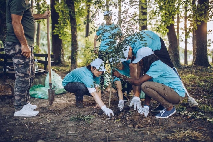 Volunteers planting a tree.