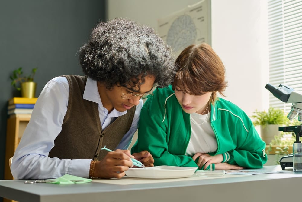 Students in the classroom.