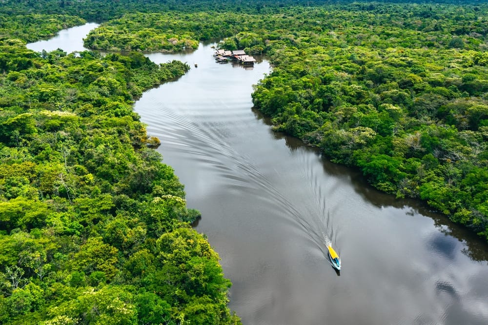 An aeriel view of the Amazon.