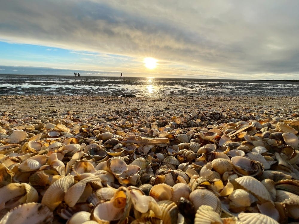 A beautiful beach walk.