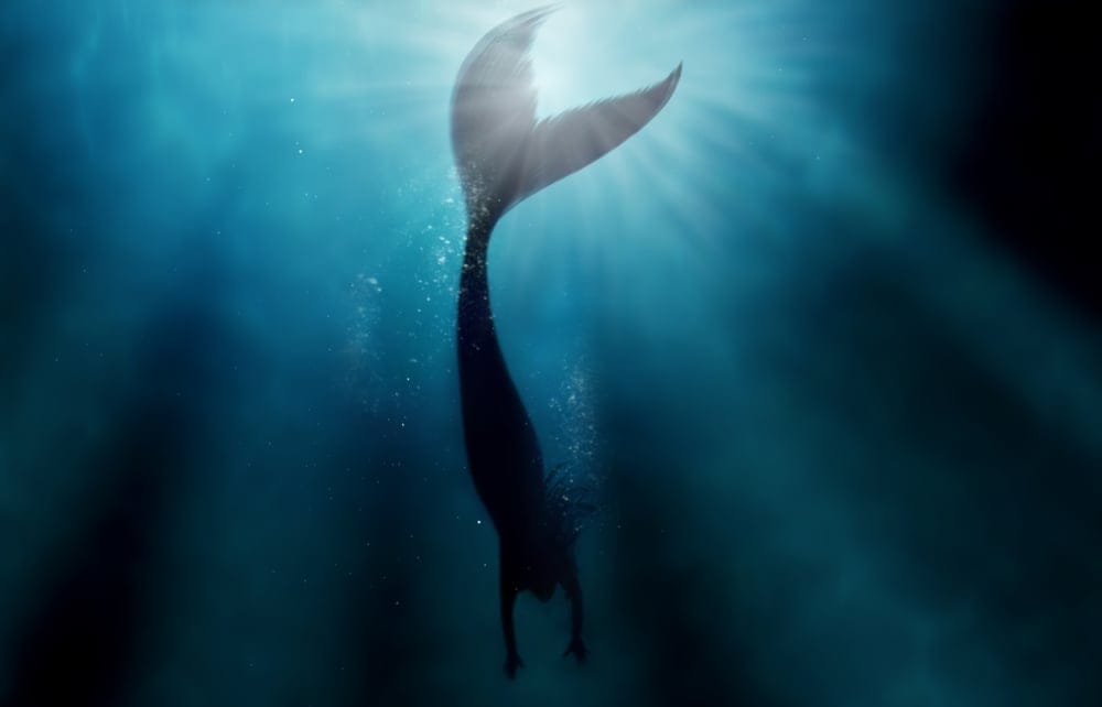 Deep sea creatures. 