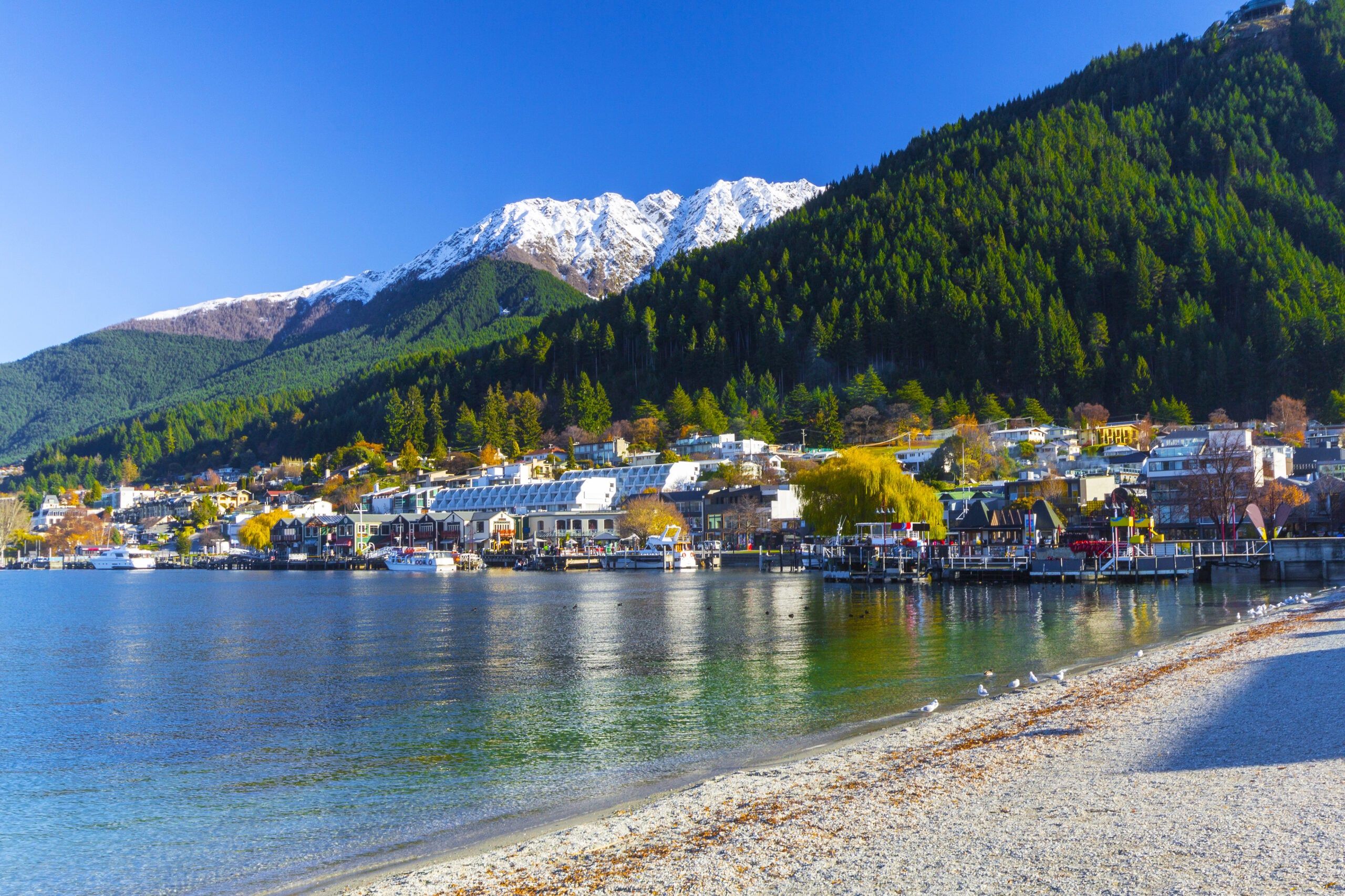 Beautiful landscape of New Zealand.