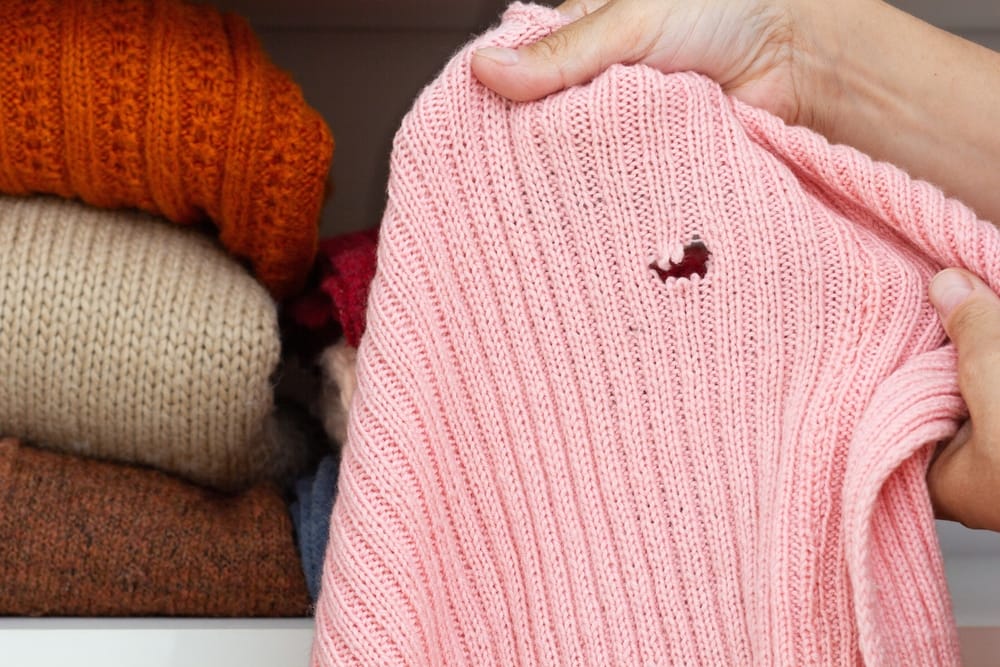 Hands holding a ripped sweater.