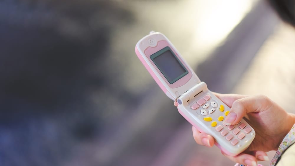 An old flip phone.