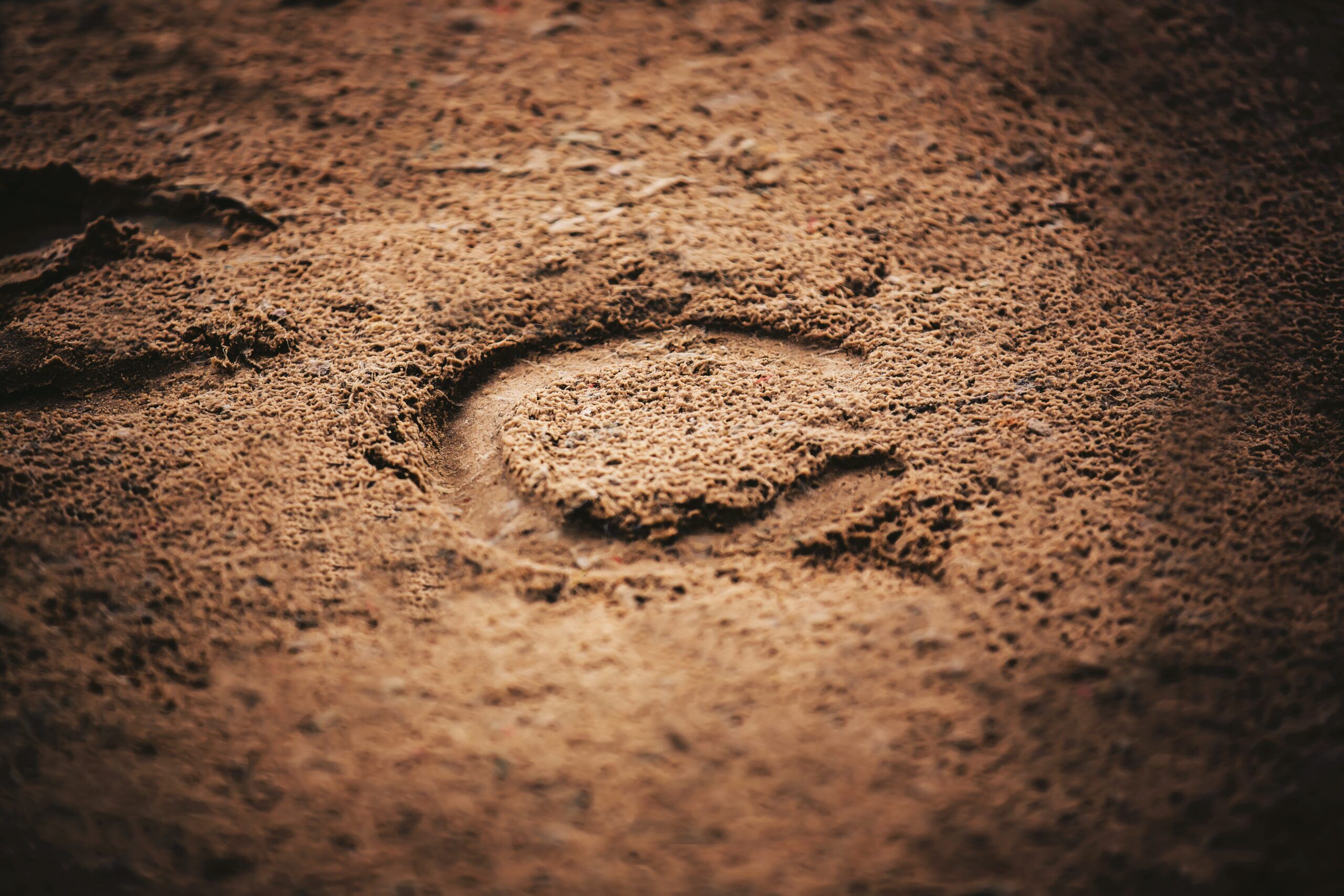 A horseshoe print in the dirt.