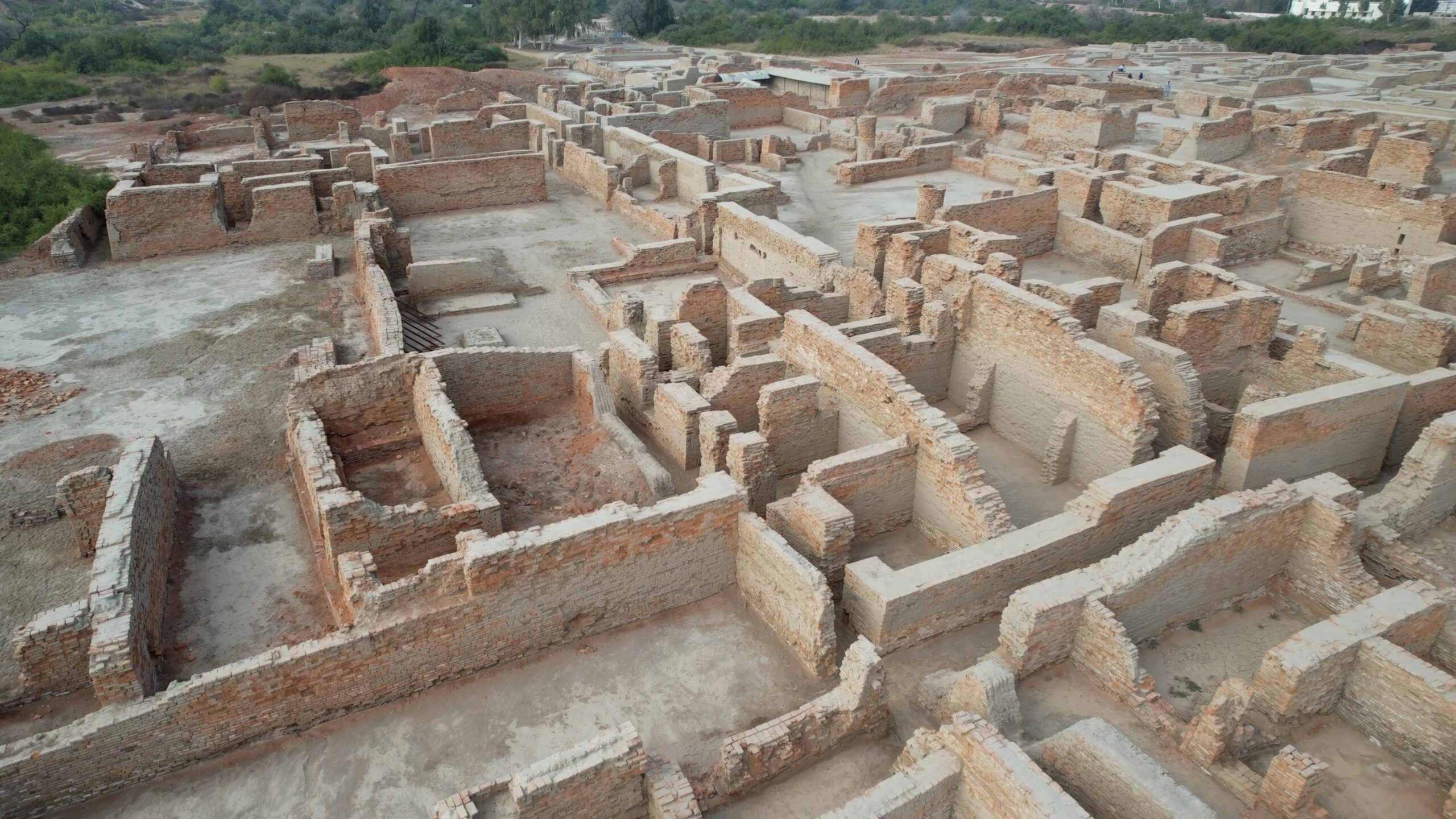 An ancient labyrinthine.