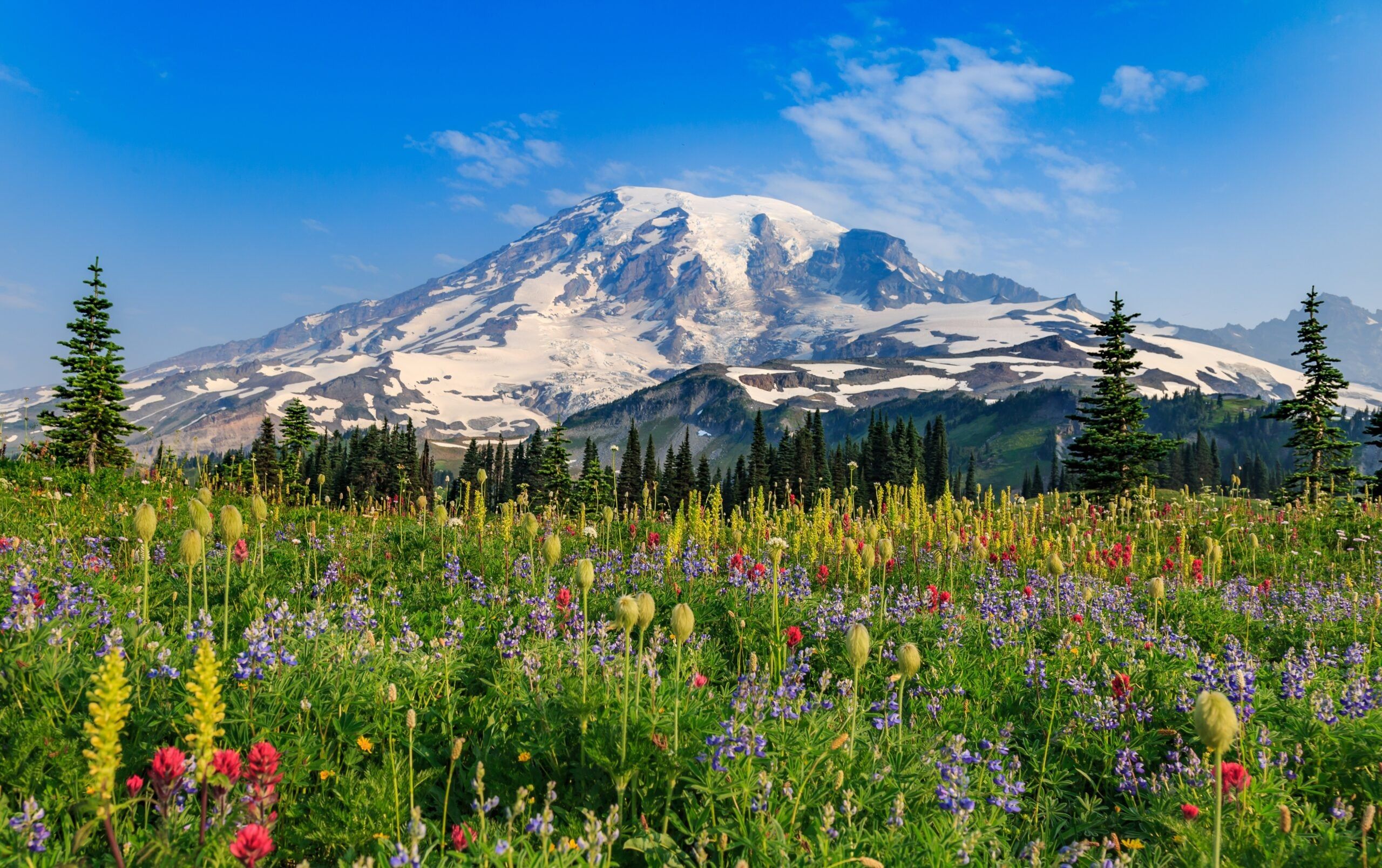 Mount Rainier, Washington