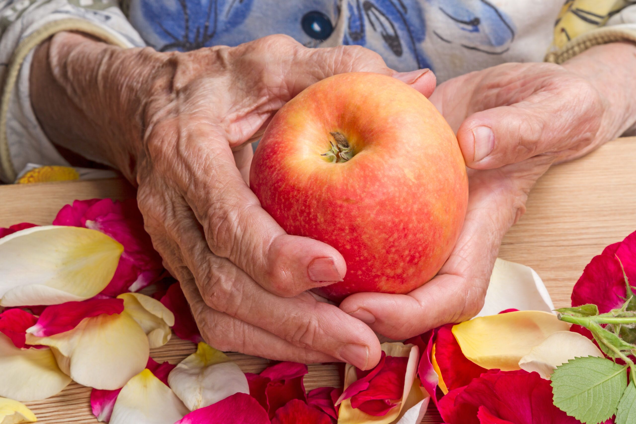 The hands of an old woman with a ripe apple.