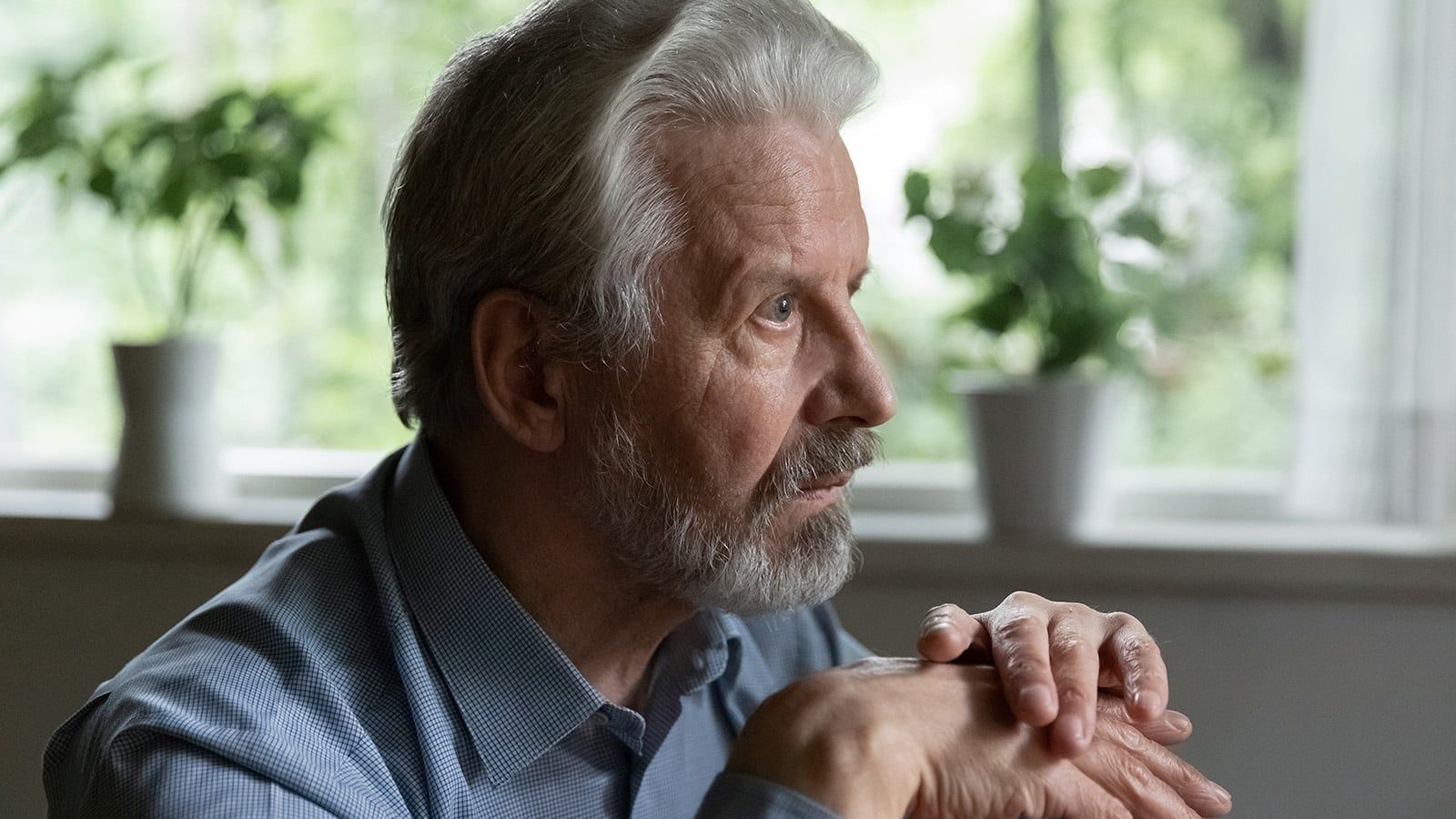 An older man with gray hair and a beard sits indoors, resting his hands on each other and looking thoughtfully out a window with potted plants in the background, reflecting on happiness and the art of letting go in retirement.