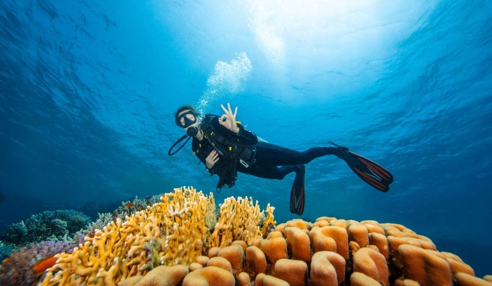 15 Reasons That Long Flight to Australia Is Totally Worth It