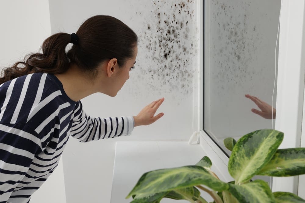 Quiet Signs Your House Has Mold That Could Make You Very Sick