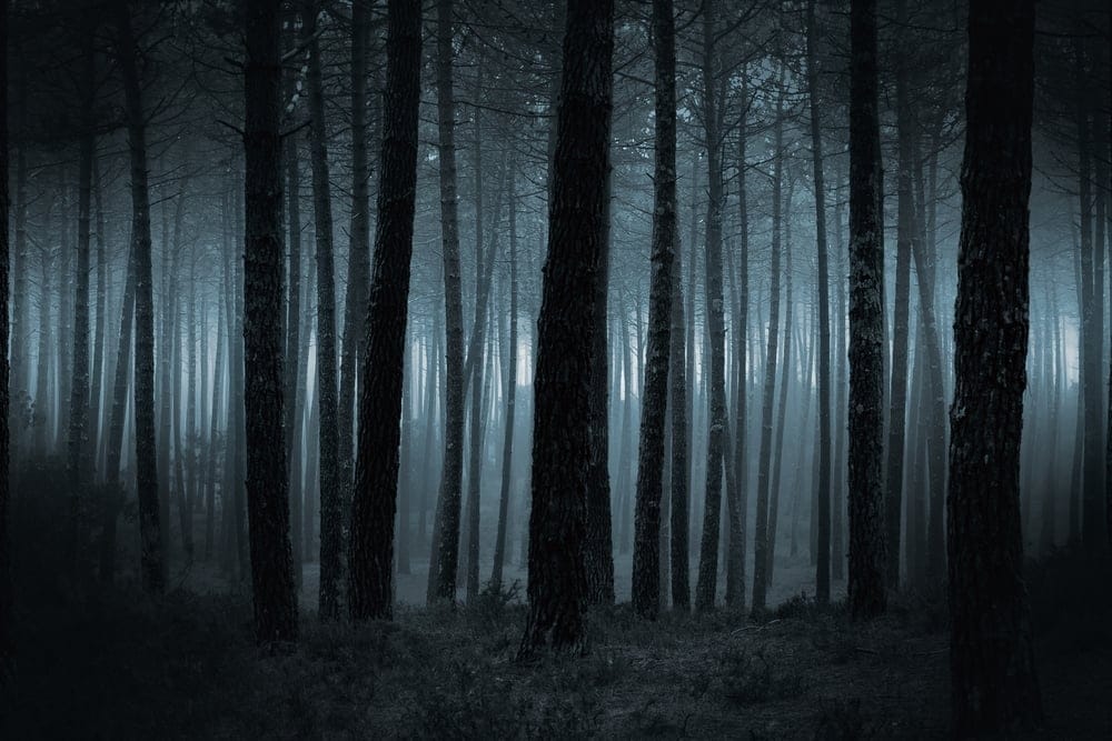 The Most Gruesome Things Park Rangers Across America Have Stumbled Upon