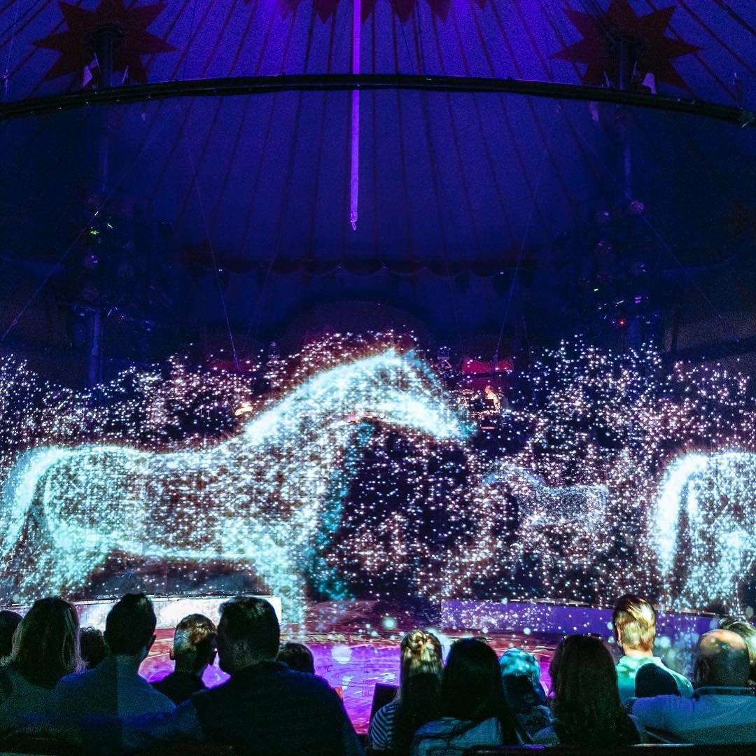 This Circus Uses Holograms Instead Of Live Animals To Prevent Abuse And Mistreatment
