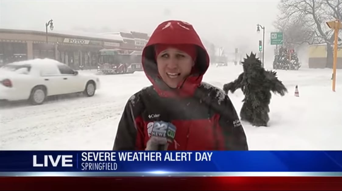 A ‘Pot Sasquatch’ Covered In Marijuana Leaves Crashed A Local News Report During Major Snowstorm