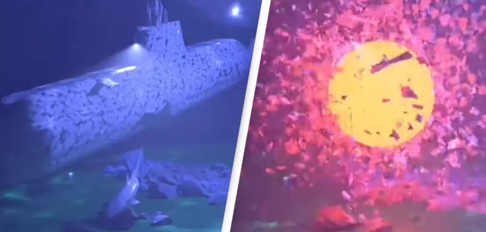Horrifying Simulation Shows What Likely Happened During Titan Sub’s ‘Catastrophic Implosion’
