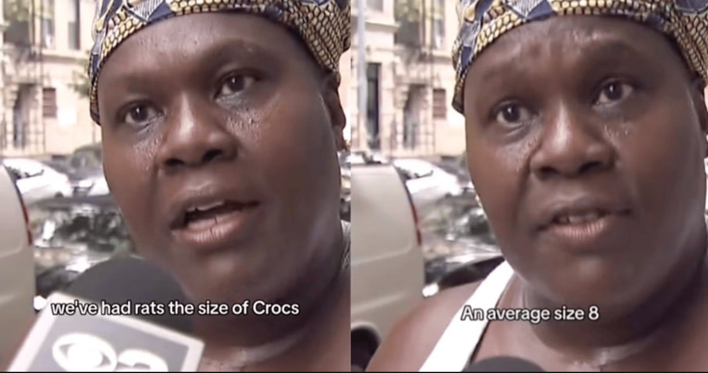 NYC Woman Tells News Anchor City Has ‘Rats The Size Of Size 8 Crocs’