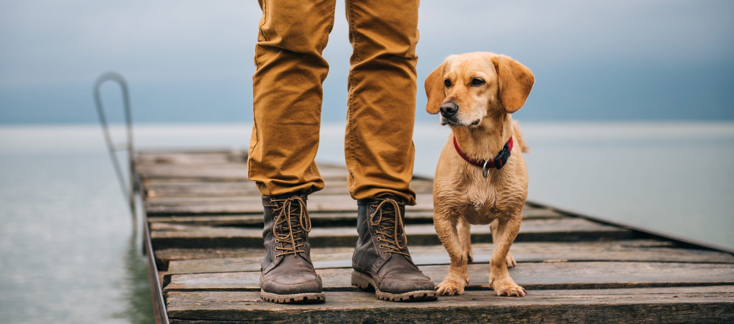 When I lost my dog, the grief caught me off guard in a way I couldn’t explain—and I’m starting to understand these 11 things that made that bond so different