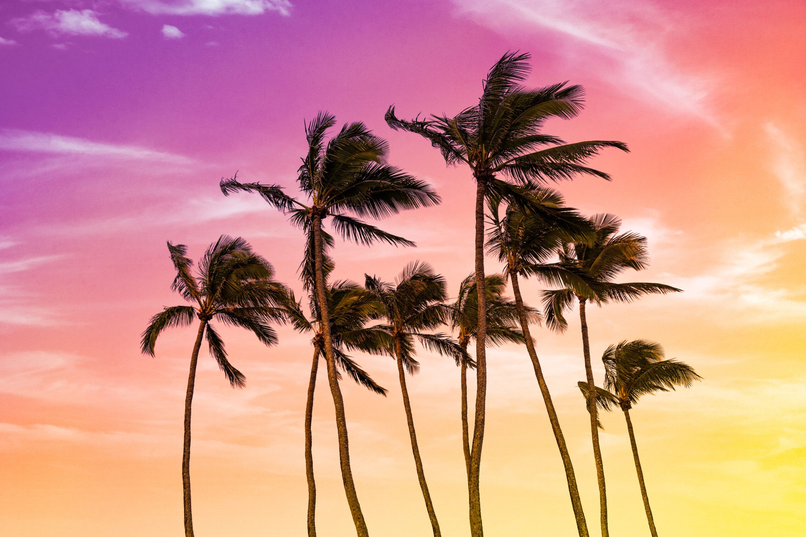 People who regularly check the weather in a city they haven’t lived in for years share these habits—it’s less about the temperature and more about a specific way they stay “anchored” to their past