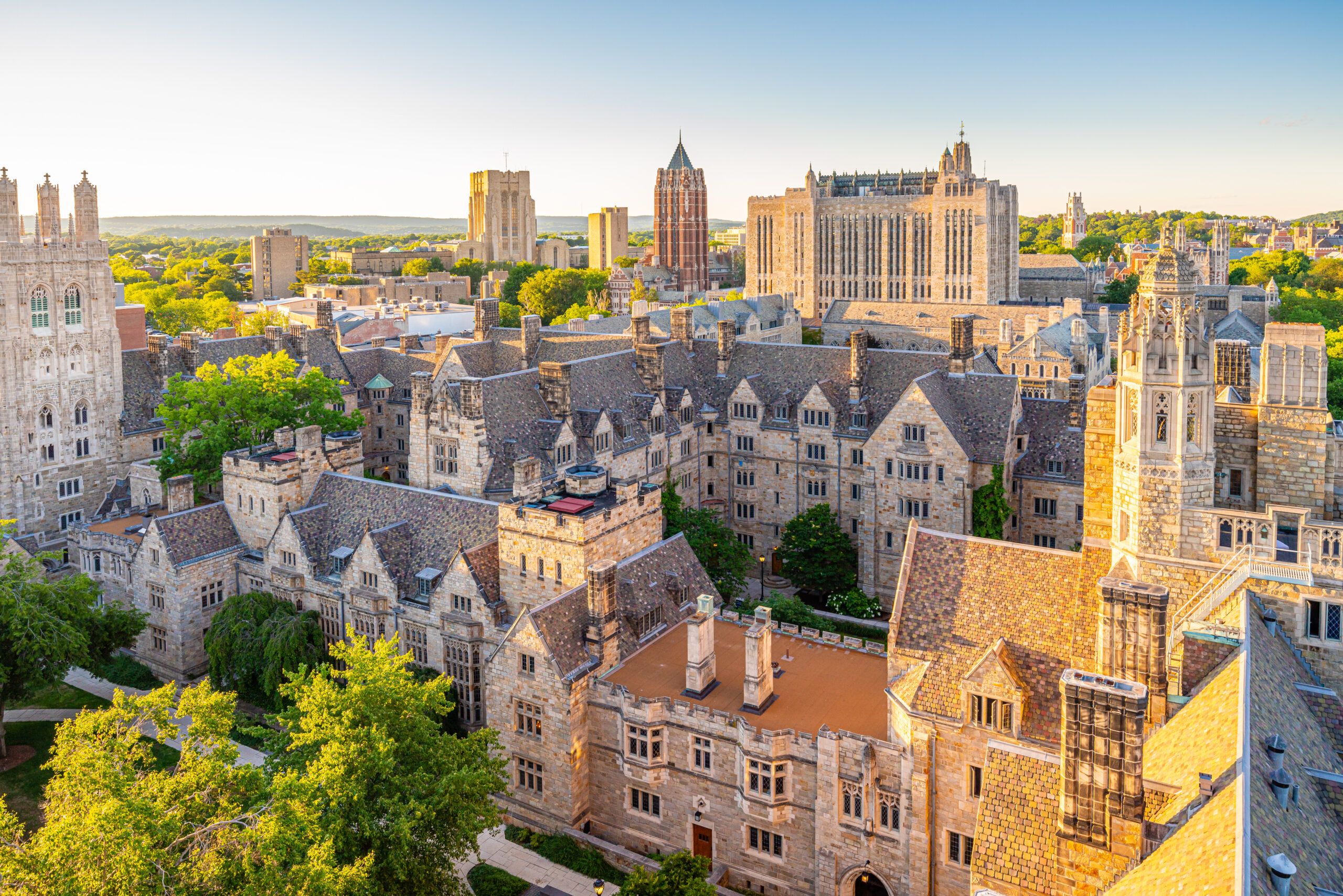 9 Reasons Elite Families Are Quietly Steering Their Kids Away From Ivy League Schools