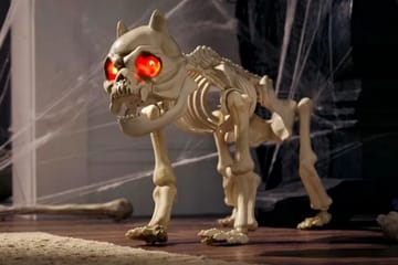 This Animated Skeleton Dog Will Scare Off Any Unwelcome Guests This Halloween