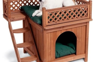 Dog Loft Beds Are Perfect For Pooches Who Hog All The Space On Your Mattress