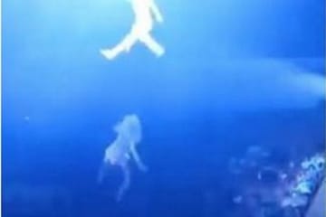 Trapeze Artist Crashes To Ground After Missing Husband’s Hand During Stunt — VIDEO