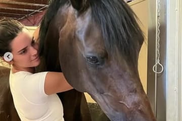 Kendall Jenner Asked For Horse Sperm For Her Birthday