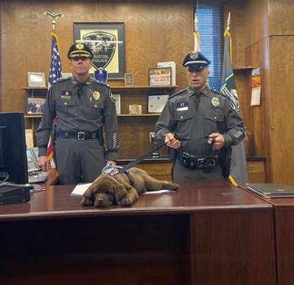 Lazy But Adorable Police Puppy Sleeps Through His Swearing In Ceremony