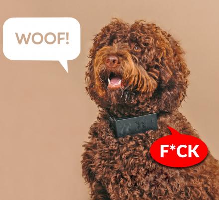 The Cuss Collar Will Translate Your Dog’s Barking Into Swear Words