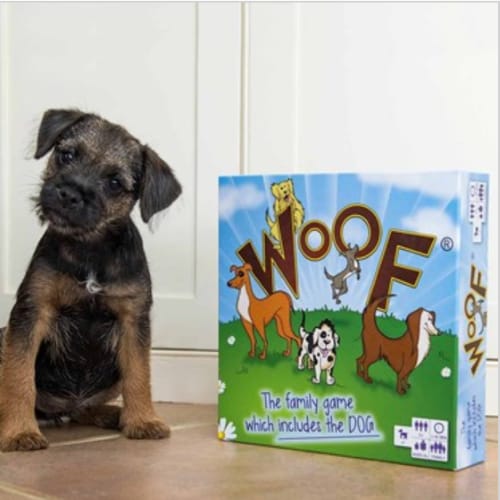 There’s Now A Board Game You Can Play With Your Dog