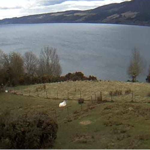 Keep Your Eyes Peeled For The Loch Ness Monster On This Live Cam