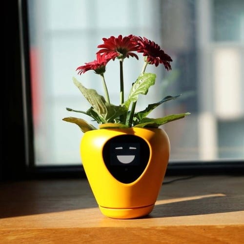 This Smart Planter Helps You Keep Your Plants Alive By Telling You What They Need