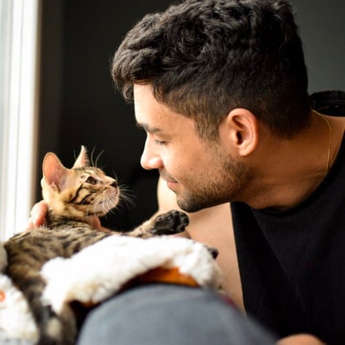 Single Men With Cats Are Less Successful On Dating Apps, Study Suggests
