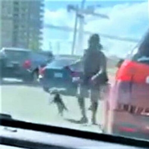 Woman With Road Rage Uses Dog On Leash As Weapon In Shocking Altercation