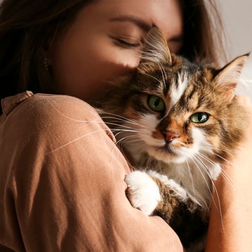New Dating App Connects Cat Lovers For Some Feline-Friendly Romance